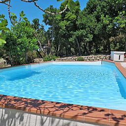 Guest house 095136501 - Holiday property Tuscany / Elba - Vakantiehuis Ciuffini