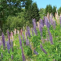 Verblijf 1066901 - Vakantiewoning Zuid Noorwegen - Vakantiehuisje in Bykle