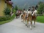 Verblijf 11311503 • Vakantiewoning Steiermark • Gasthof Neuwirt  • 5 van 26