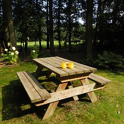 Guest house 200706 • Holiday property Zuidwest Drenthe • huisje in ruinen  • 2 of 15