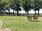 Verblijf 203516 • Vakantiewoning Zuidwest Drenthe • Heerlijk gelegen 4 persoons boerderijappartement nabij  • 2 van 26