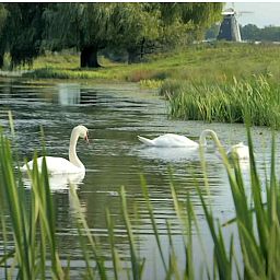 Rustieke landweg nabij vakantiehuis L284 in Beesel, Noord Limburg.