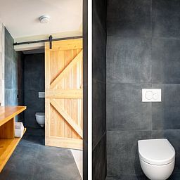 Stijlvolle badkamer in Vakantiehuis in Staphorst met moderne voorzieningen in Noordwest Overijssel.