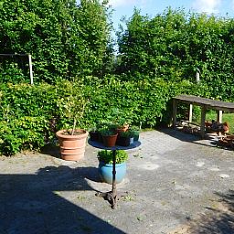 View from the window of Holiday Home in Dreischor, a vacation home in Schouwen-Duiveland, Zeeland, with a green garden and pond.