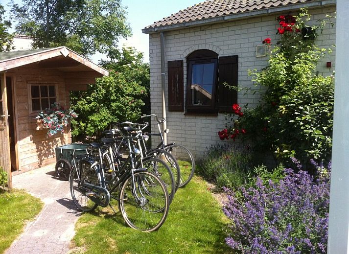 Unterkunft 010153 - Bungalow Texel - Heerlijk vakantiehuis