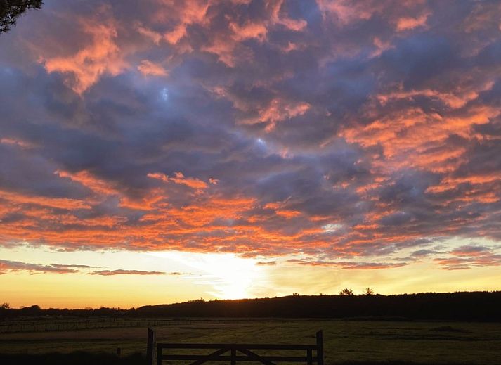 Ingang van Duinrand Vakantievilla's Type 2 in De Koog, Texel, met houten poort en bloeiende tuin.