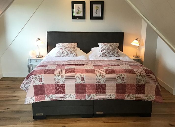 Guest house 0106103 - Bed and Breakfast Texel - De Borage Texel