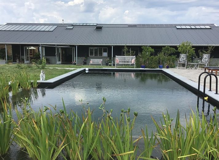 Guest house 0106103 - Bed and Breakfast Texel - De Borage Texel