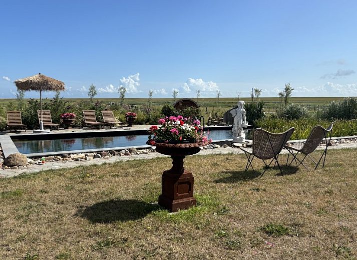 Guest house 0106103 - Bed and Breakfast Texel - De Borage Texel