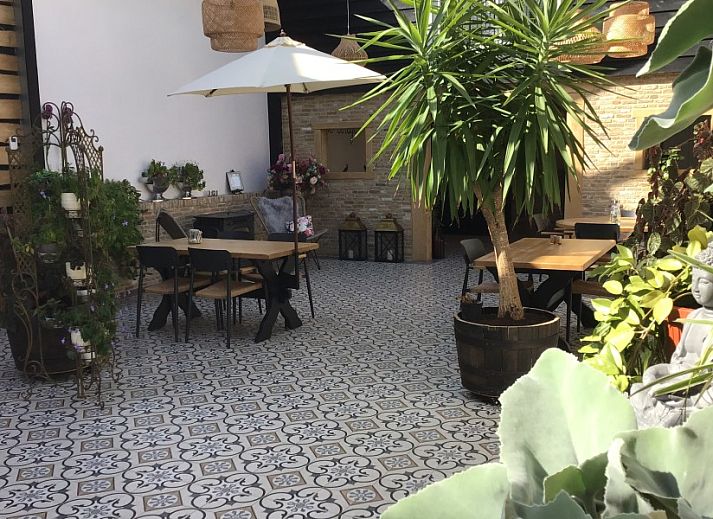 Guest house 0106103 - Bed and Breakfast Texel - De Borage Texel