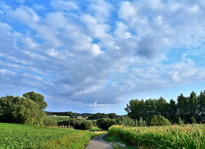 Rustiek terras van Vakantiehuisje in Onkerzele, Geraardsbergen, met charmante bakstenen gevel in Oost-Vlaanderen, Belgie.