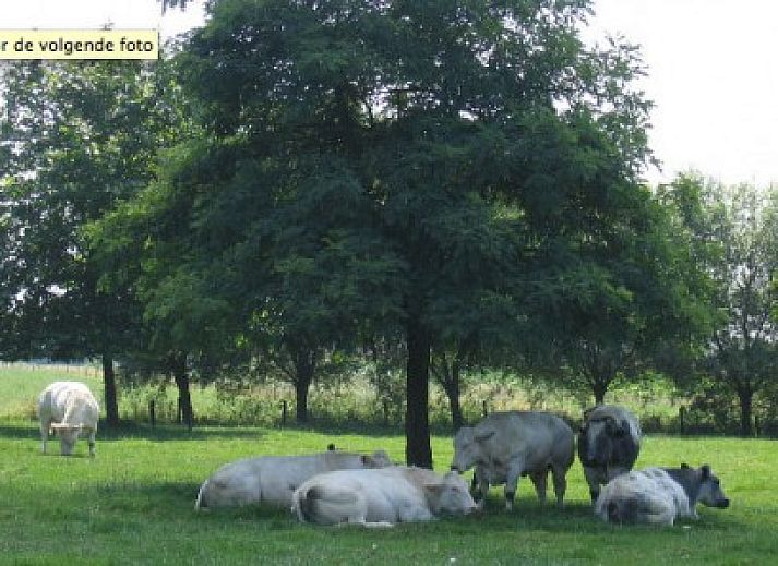 Guest house 022402 - Bed and Breakfast East Flanders - BOMLOZE PUT