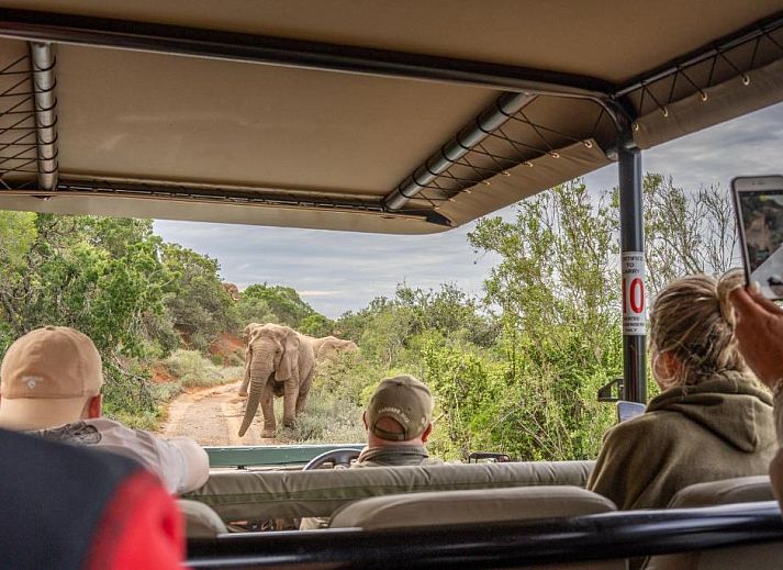 Verblijf 0226410 - Vakantie appartement Oost-Kaap - Safari Lodge - Amakhala Game Reserve