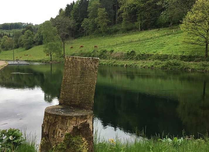 Gezellig vakantiehuisje in Schmallenberg-Oberkirchen, perfect voor natuurliefhebbers in Sauerland, Duitsland.