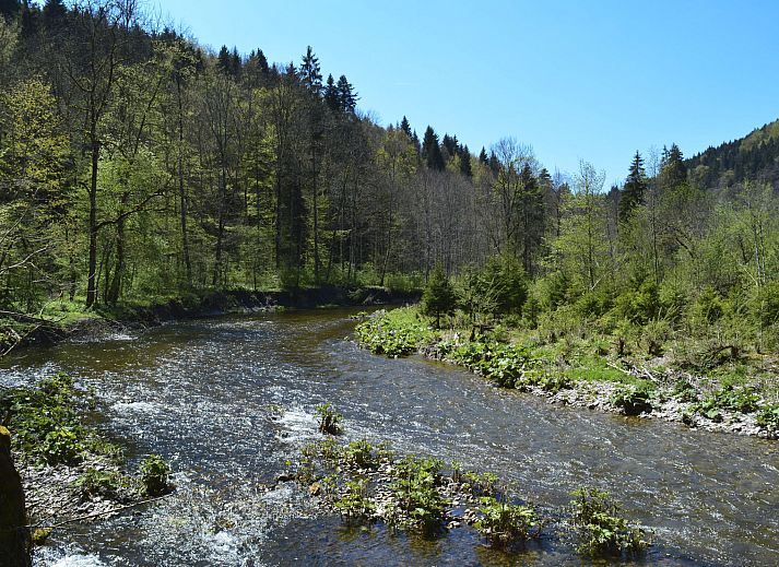 Guest house 03123701 - Apartment Black Forest - Appartement Spatzenparadies