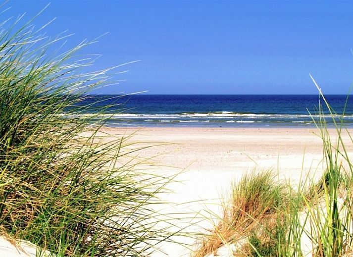 Guest house 0403230 - Apartment Ameland - Zilverschoon