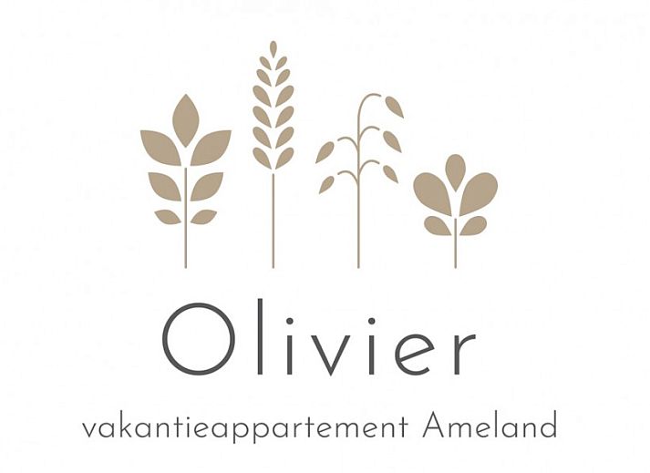 Verblijf 040475 - Appartement Ameland - Sfeervol 4-pers. appartement met sauna op Ameland – strand