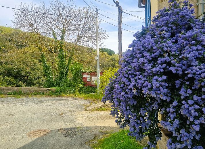 Verblijf 046214001 - Vakantiewoning Languedoc / Roussillon - Oleandre