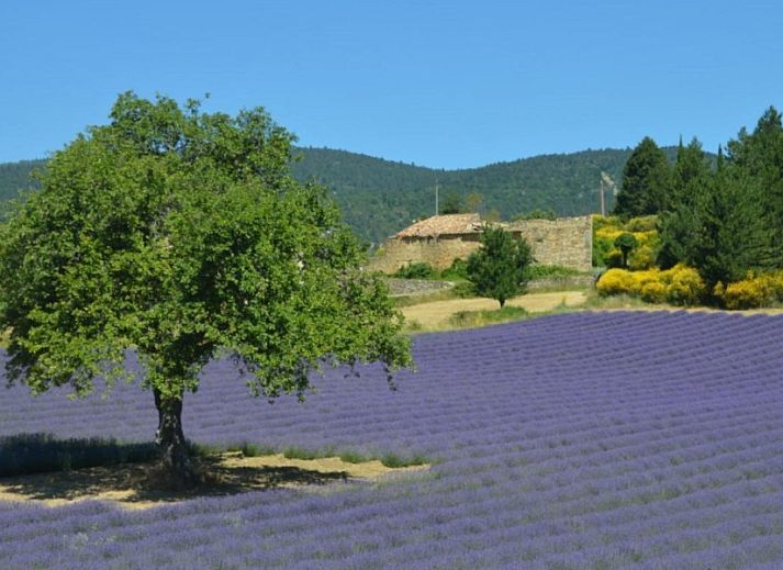 Indeling van VillaFleury Appartement, een charmant verblijf in Montbrun-les-Bains, Rhone-Alphes, Frankrijk.