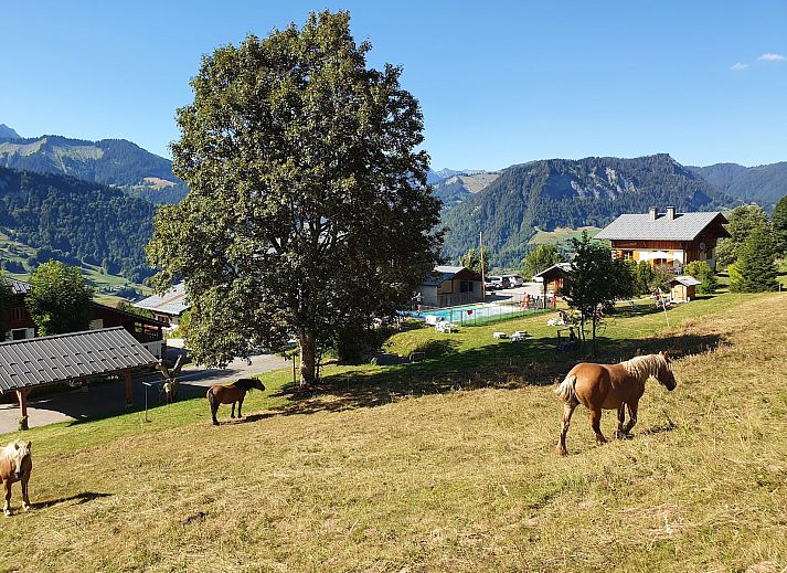 Unterkunft 0502703 - Ferienhaus Rhone-Alphes - Chalet Borderan