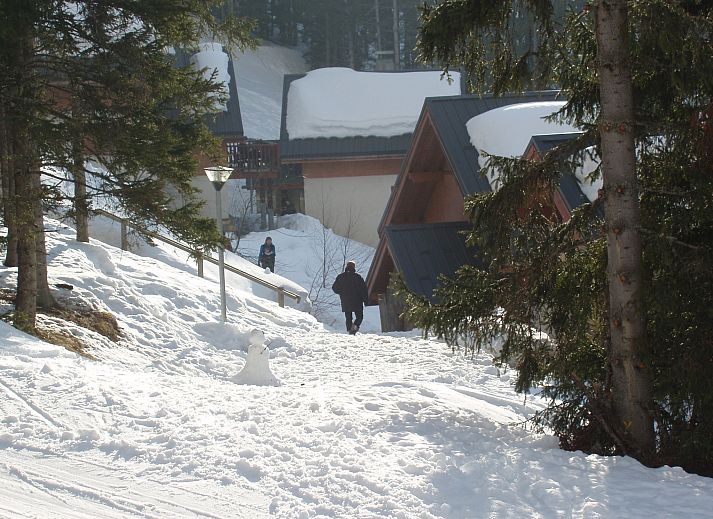 Guest house 05032727 - Chalet Rhone-Alphes - Chalet - Oz-en-Oisans