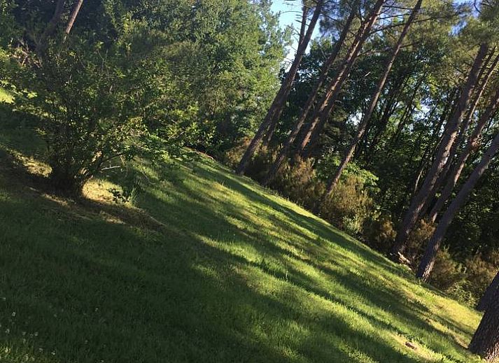 Verblijf 054602301 - Vakantiewoning Aquitaine - Entre nous