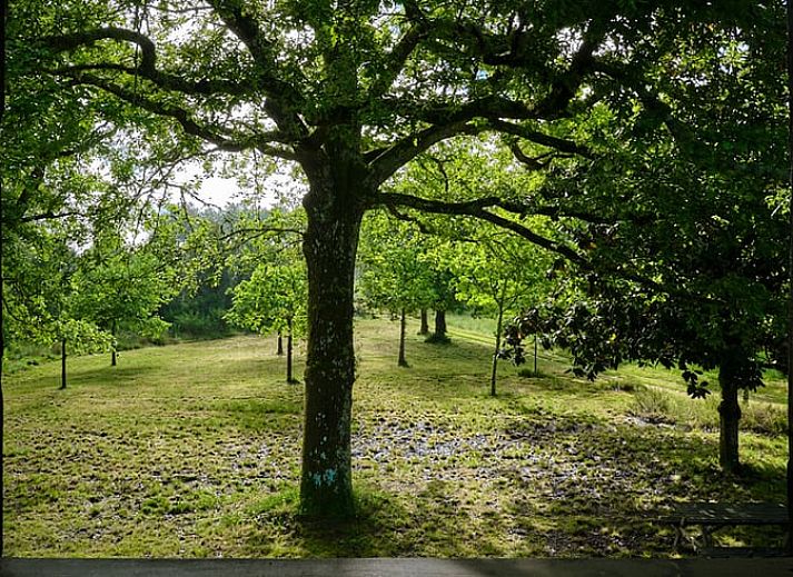 Guest house 05465002 - Holiday property Aquitaine - Vakantiehuisje in Castets