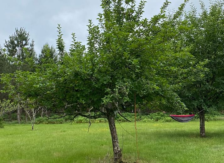 Vakantiehuis in Morcenx, Aquitaine: knusse eetruimte met houten interieur en warme verlichting.