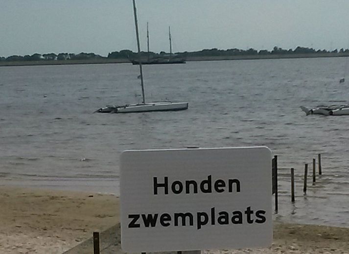 Guest house 060747 - Bungalow Friese elfsteden - Strandbungalow P- 4-6