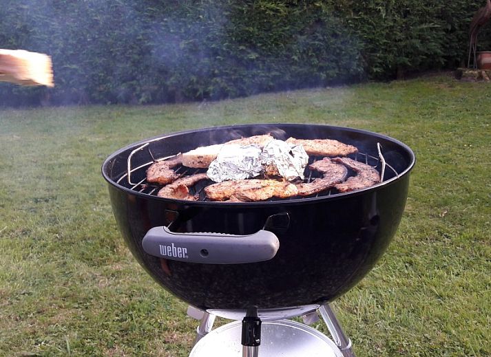 Guest house 060747 - Bungalow Friese elfsteden - Strandbungalow P- 4-6