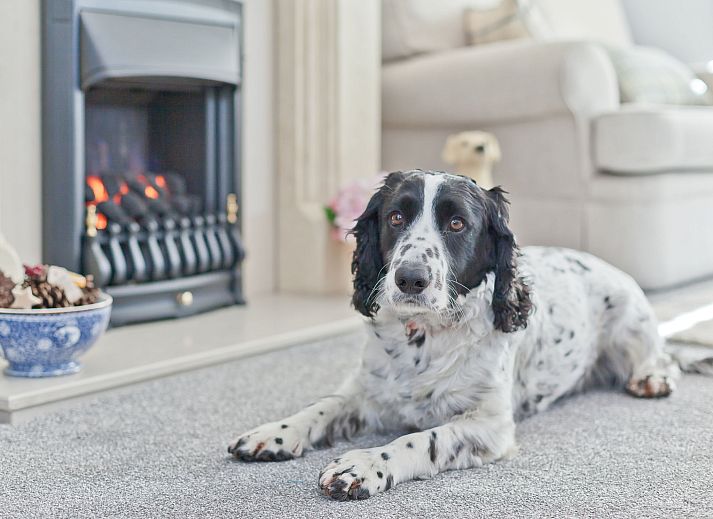 Verblijf 06598402 - Vakantiewoning Engeland - Vakantiehuis Lake District Coastal Cottage