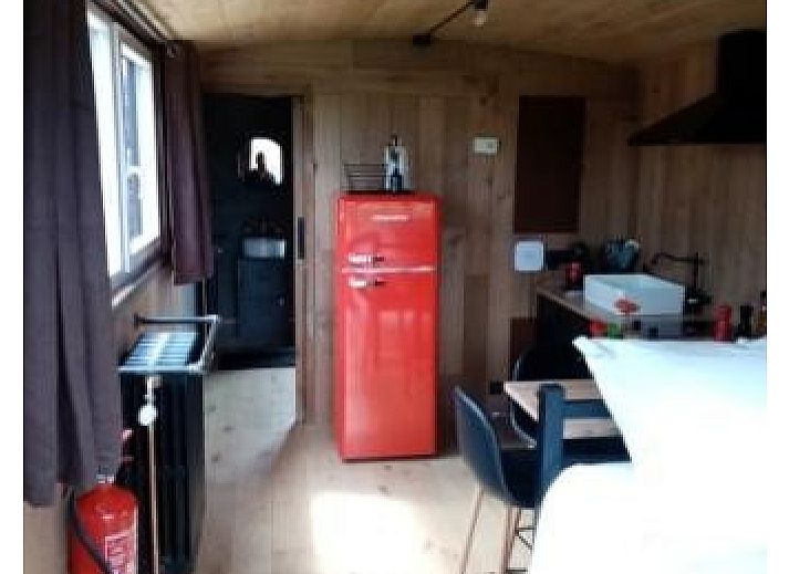 Ontmoet de vriendelijke ezel in de groene omgeving van Le Wagon, een unieke vakantiehuiservaring in Graide, Ardennen, Belgie.