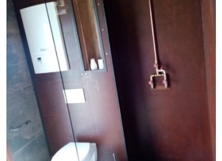 Ontmoet de vriendelijke ezel in de groene omgeving van Le Wagon, een unieke vakantiehuiservaring in Graide, Ardennen, Belgie.