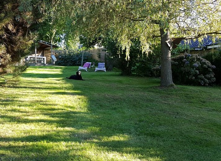 Cozy interior of Au Foyer, vacation home in Durbuy, with stylish decor.