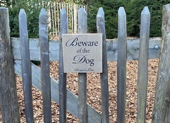 Gezellige eetkamer in Dogo In Paradise vakantiehuis, Houffalize, Ardennen, met houten tafel en herfstdecoratie.