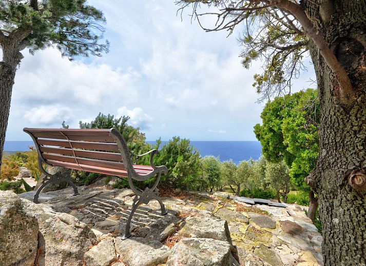 Guest house 095136501 - Holiday property Tuscany / Elba - Vakantiehuis Ciuffini