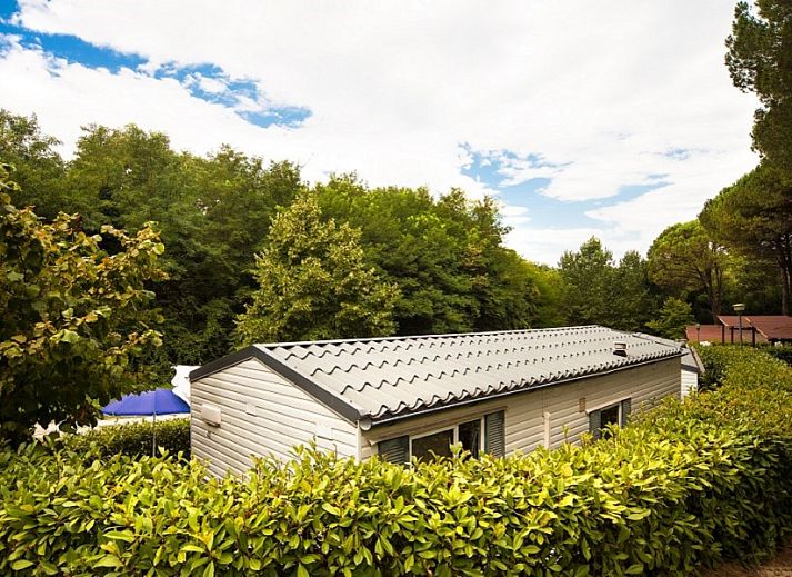 Guest house 09531804 - Chalet Tuscany / Elba - Toscana Holiday Village