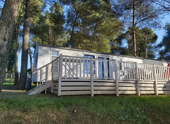 Guest house 09531804 - Chalet Tuscany / Elba - Toscana Holiday Village