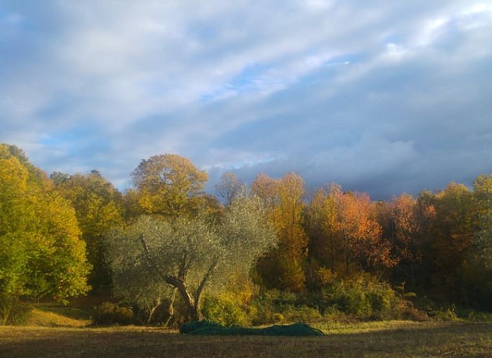 Traditionele keuken in Vakantiehuisje in Santa Fiora, Toscane, Italie met levendige kleuren en landelijke uitstraling.