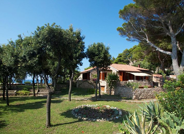 Verblijf 09577601 • Vakantiewoning Toscane / Elba • Villa Isola 