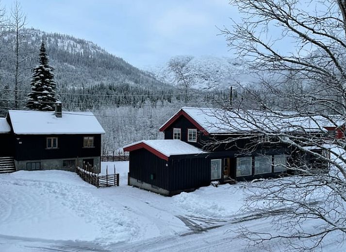 Verblijf 1065802 • Vakantiewoning Zuid Noorwegen • Vakantiehuis in Vinjesvingen 