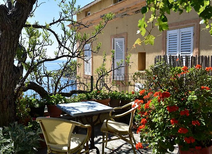 Guest house 11204301 - Apartment Corsica - U Patriarcu