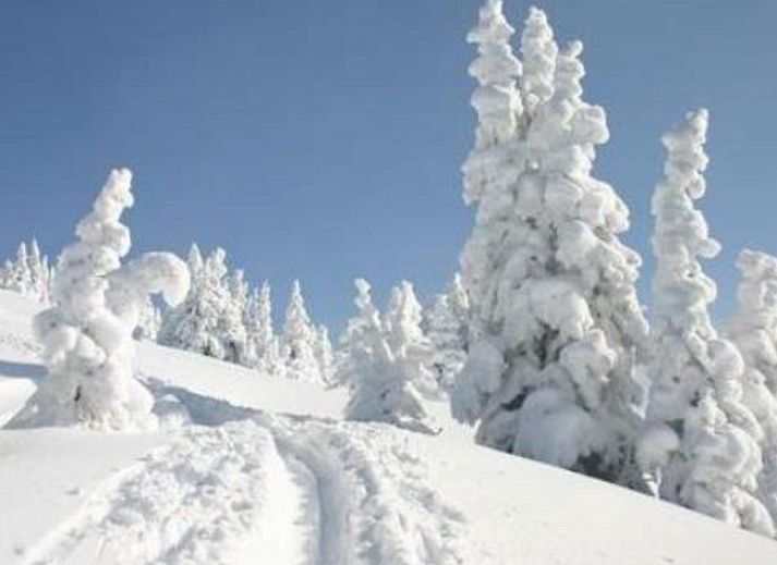 Moderne badkamer in Fintinn vakantiehuis, Huttschlag, Salzburg met elegant sanitair en natuurlijk licht.