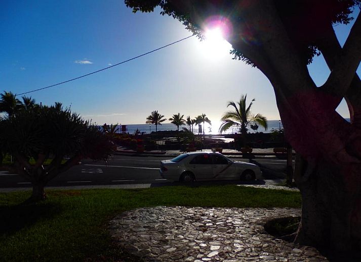 Verblijf 11414416 - Appartement Canarische Eilanden - Edificio Orion