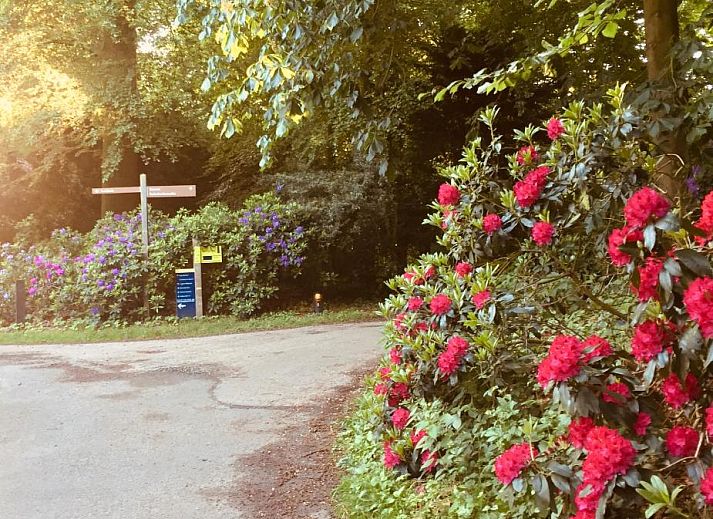 Verblijf 135002 - Bed and breakfast Noord-Holland zuid - Art+bed and breakfast