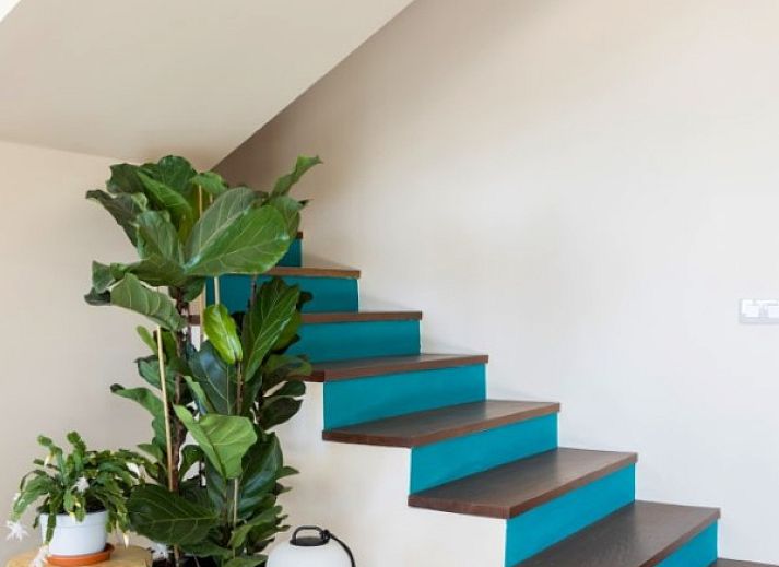 Guest house 1446001 - Holiday property Canary Islands - Villa Belleza