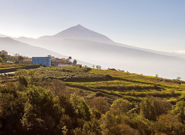 Guest house 1446001 - Holiday property Canary Islands - Villa Belleza