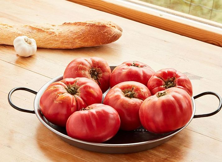 Guest house 15614202 - Holiday property Aragom / Navarra / La Rioja - CASA Guardafuentes de Ordesa