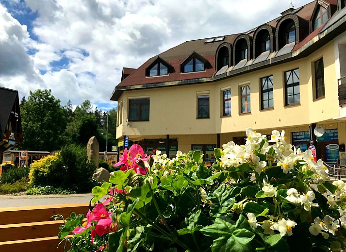 Verblijf 1651504 - Appartement Reuzengebergte - Appartement 