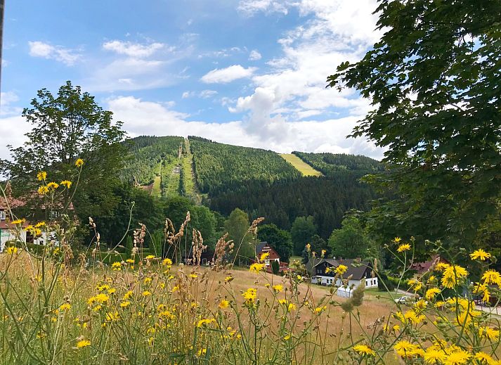 Verblijf 1651504 - Appartement Reuzengebergte - Appartement 
